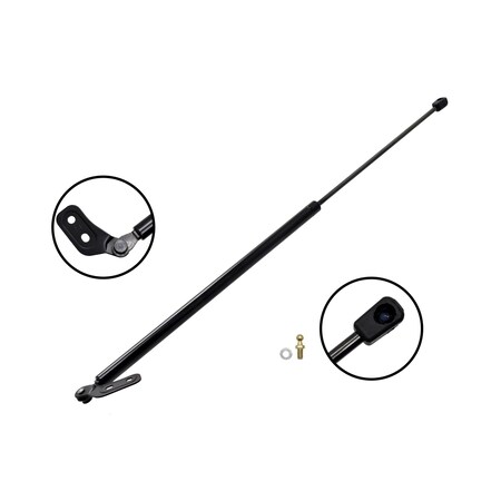 Fcs Struts Lift Support Hatch, 86517L 86517L